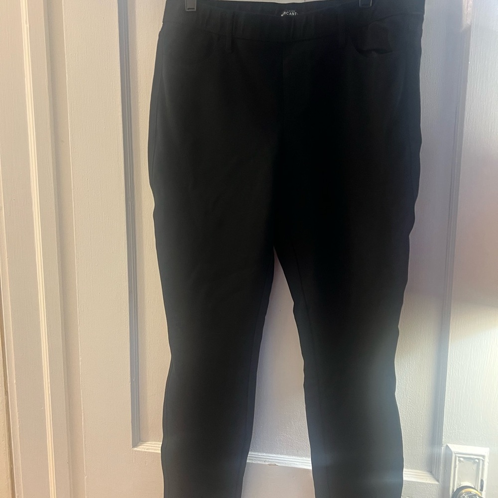 JCrew Factory Ponte Skinny Pant